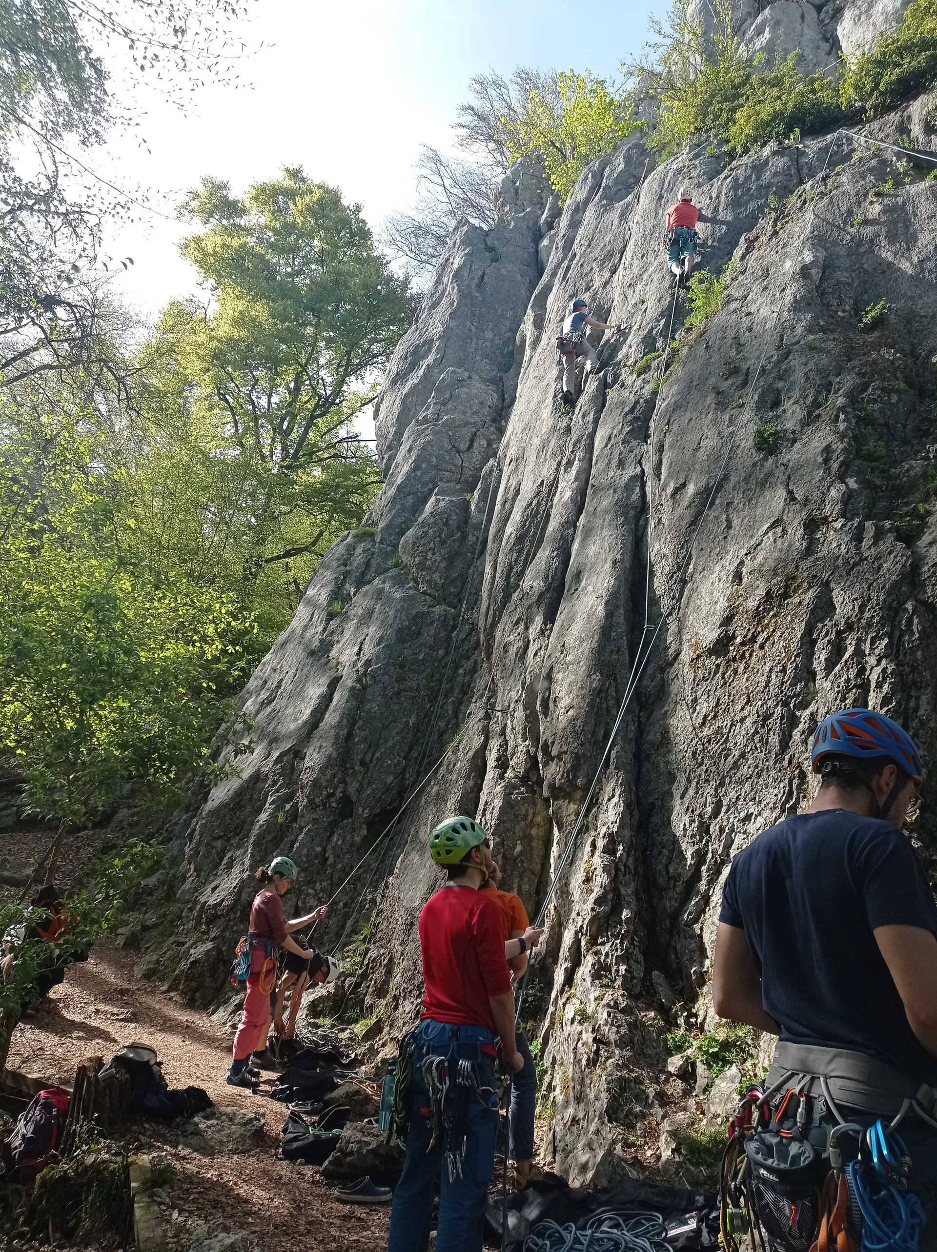 Gruppe von Menschen beim Klettern im Altmuehltal | © DAV Heilbronn