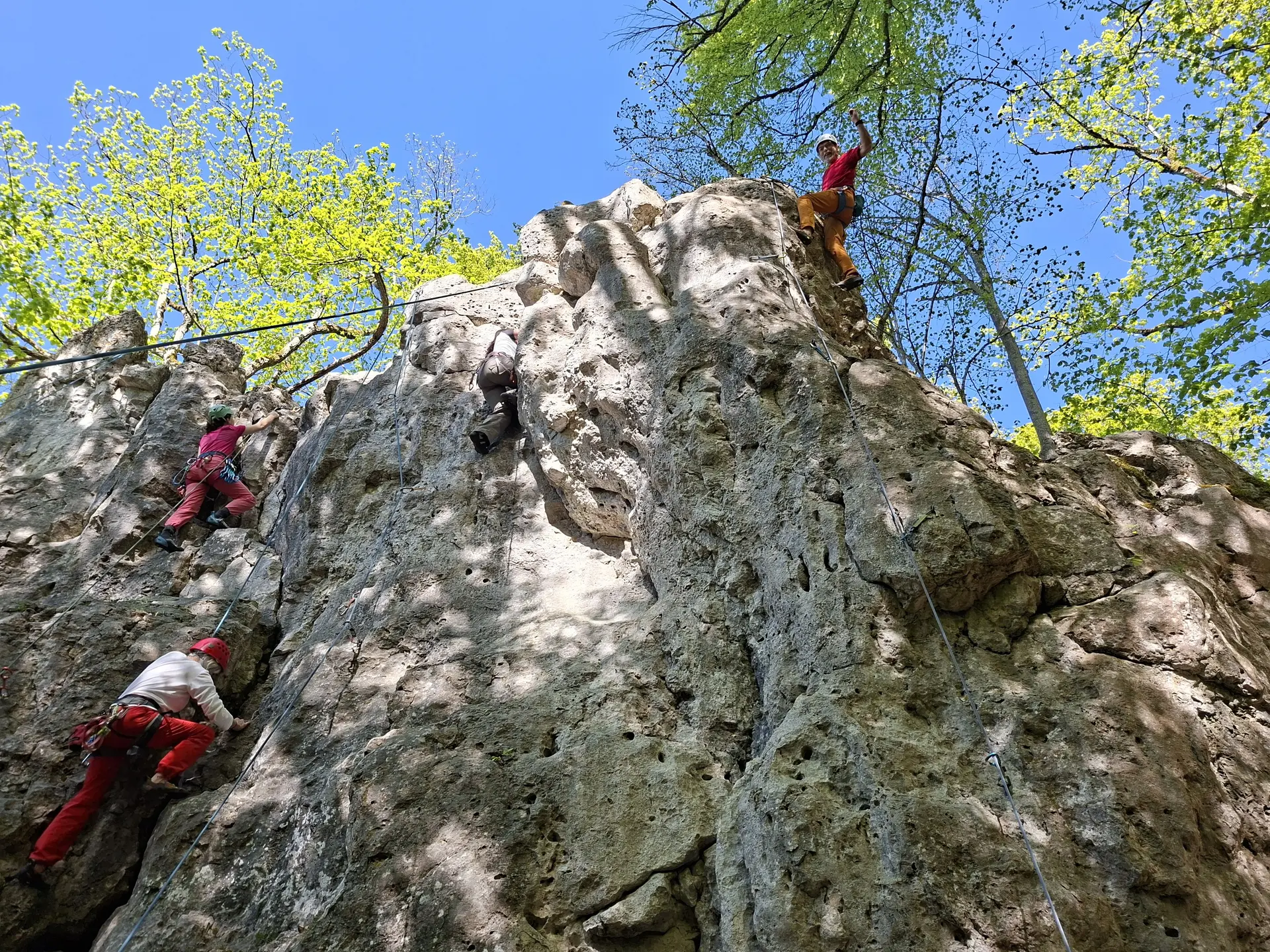 Gruppe von Menschen beim Klettern im Altmuehltal | © DAV Heilbronn