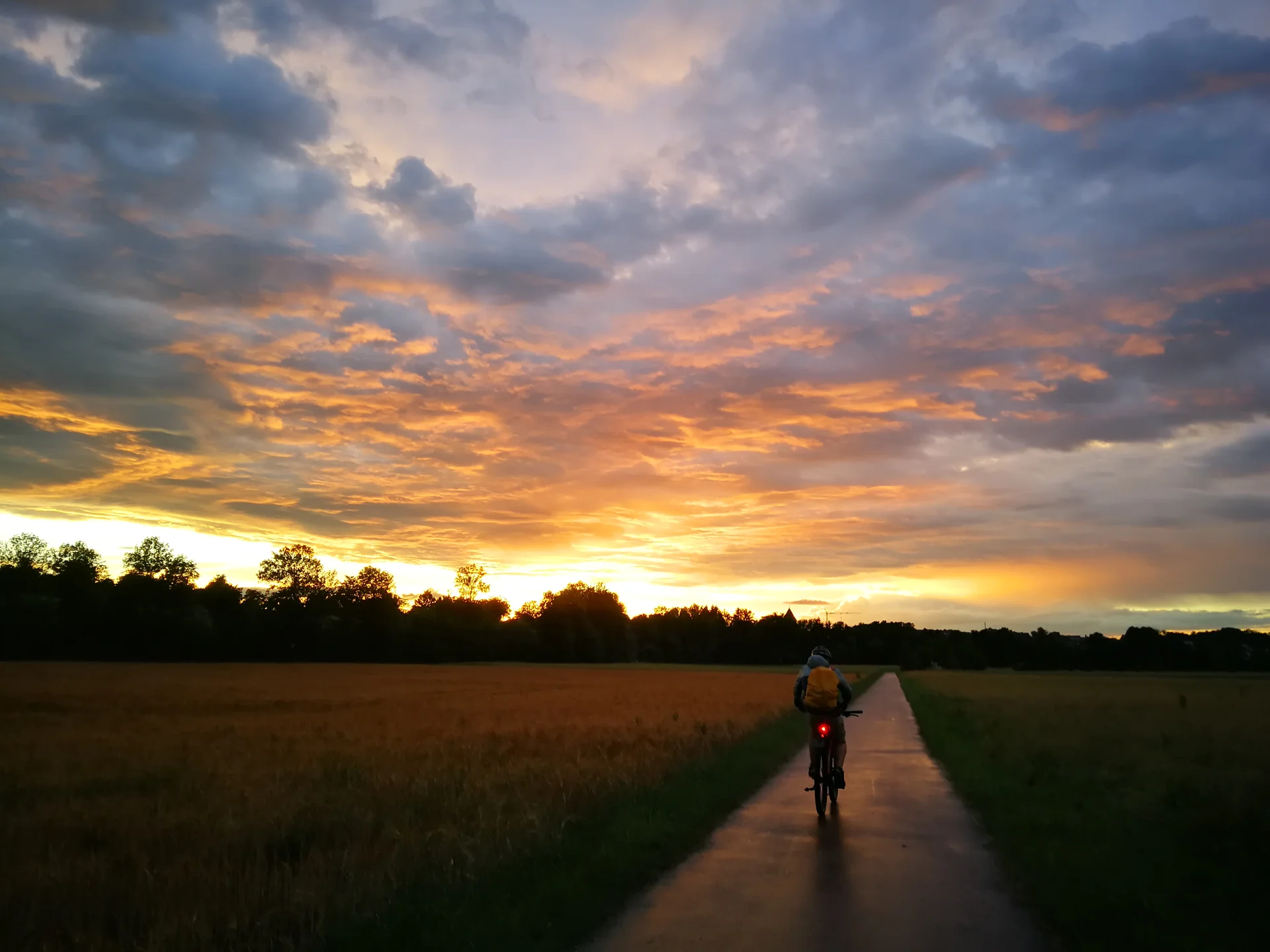 Radfahrer von hinten auf einem Feldweg bei Sonnenuntergang | © DAV Heilbronn BZG Öhringen