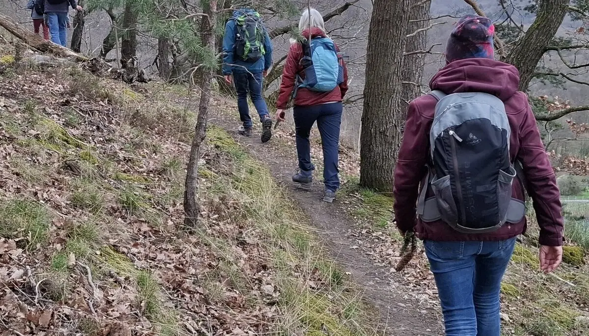 Monatswanderung März / BZG Öhringen / DAV Heilbronn | © DAV Heilbronn