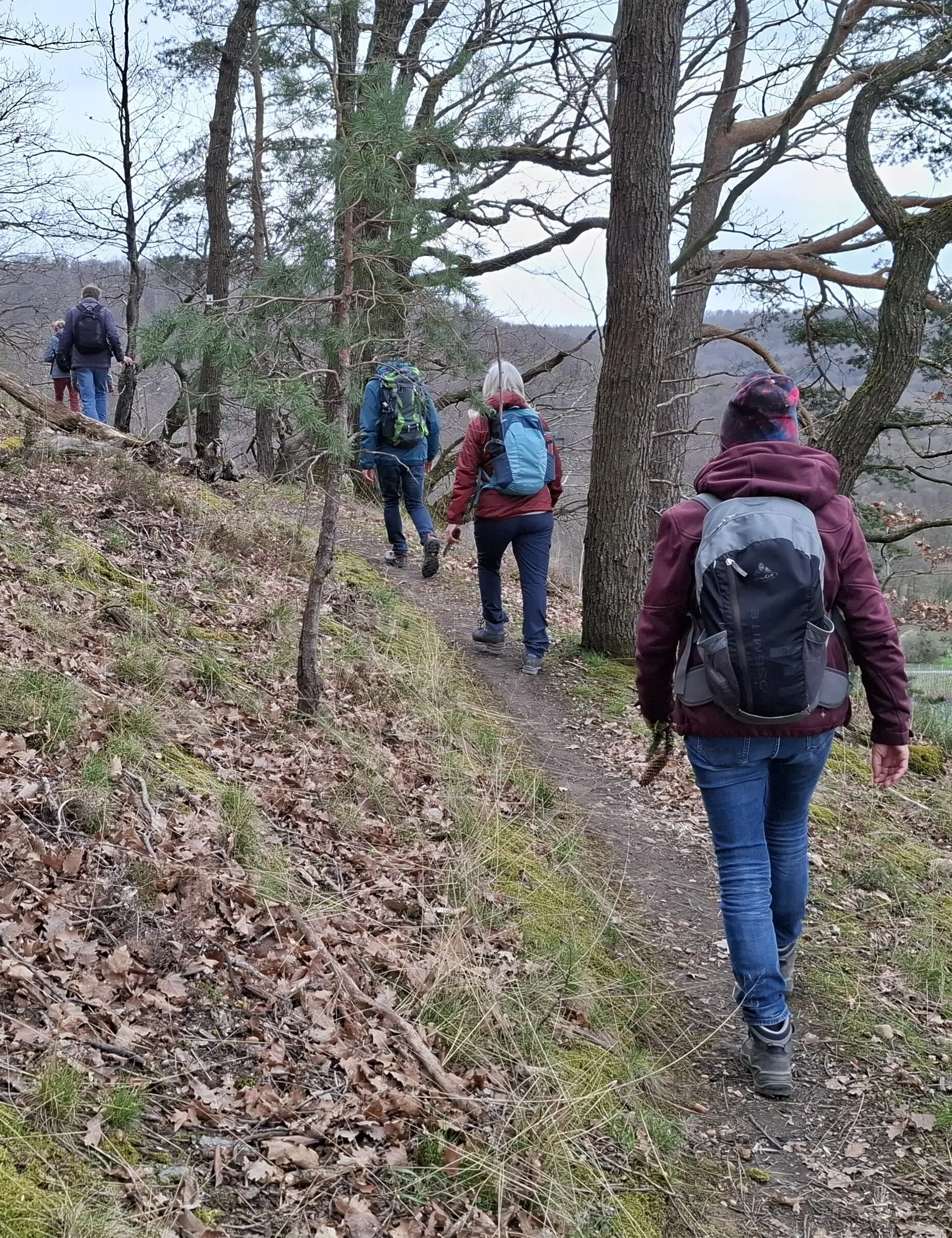 Monatswanderung März / BZG Öhringen / DAV Heilbronn | © DAV Heilbronn