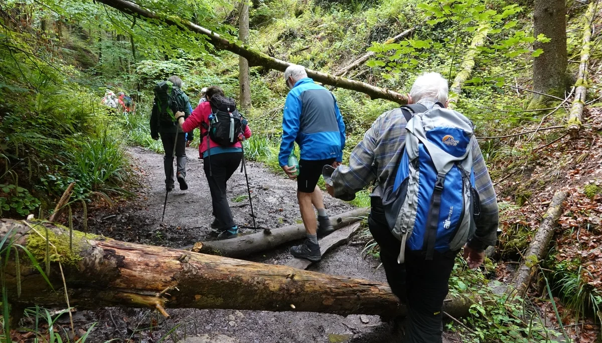 Auf Räuberwegen durch den Mainhardter Wald I Monatswanderung Mai I Bezirksgruppe Oehringen | © DAV Heilbronn