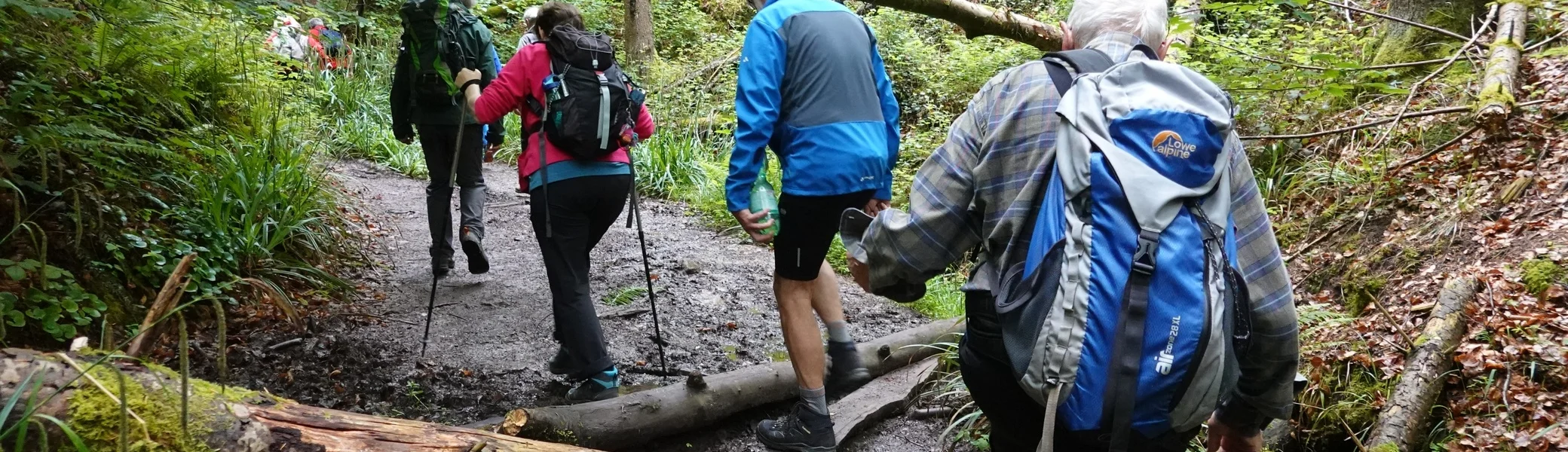 Auf Räuberwegen durch den Mainhardter Wald I Monatswanderung Mai I Bezirksgruppe Oehringen | © DAV Heilbronn