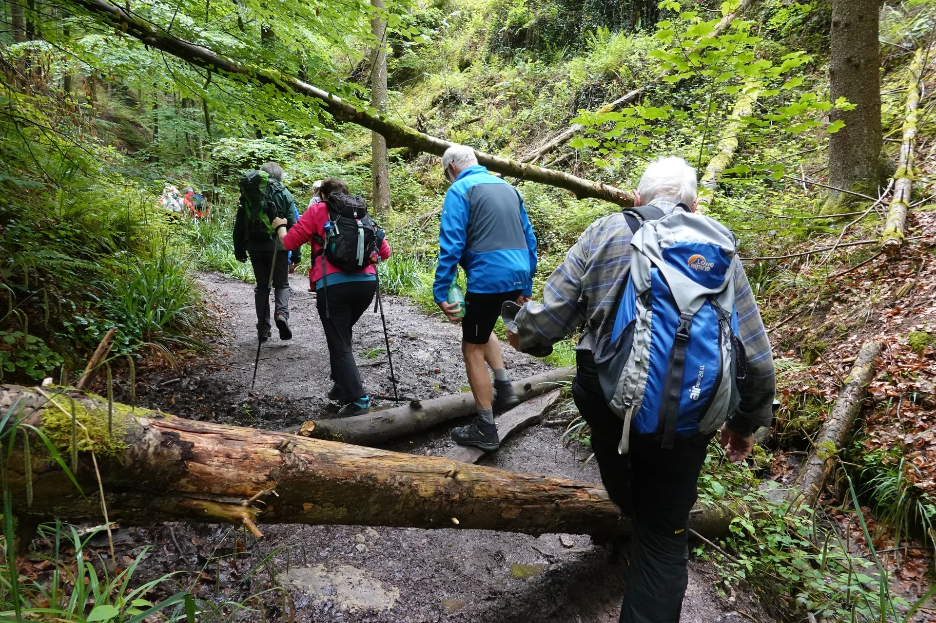 Auf Räuberwegen durch den Mainhardter Wald I Monatswanderung Mai I Bezirksgruppe Oehringen | © DAV Heilbronn