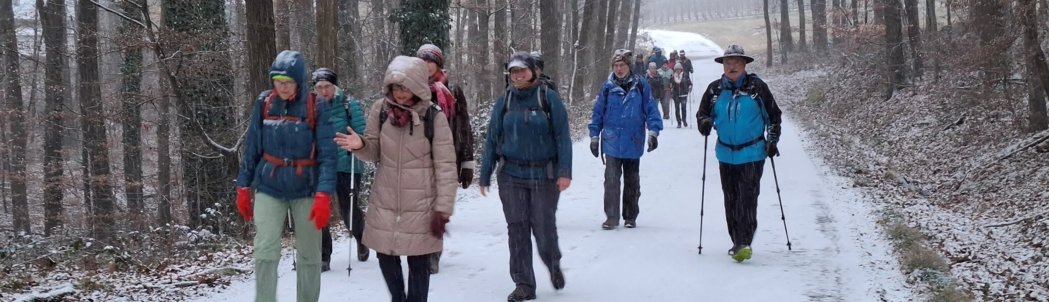 BZG Öhringen Rückblick Traditionswanderung 2026-01 | © DAV Heilbronn Klaus Schluchter