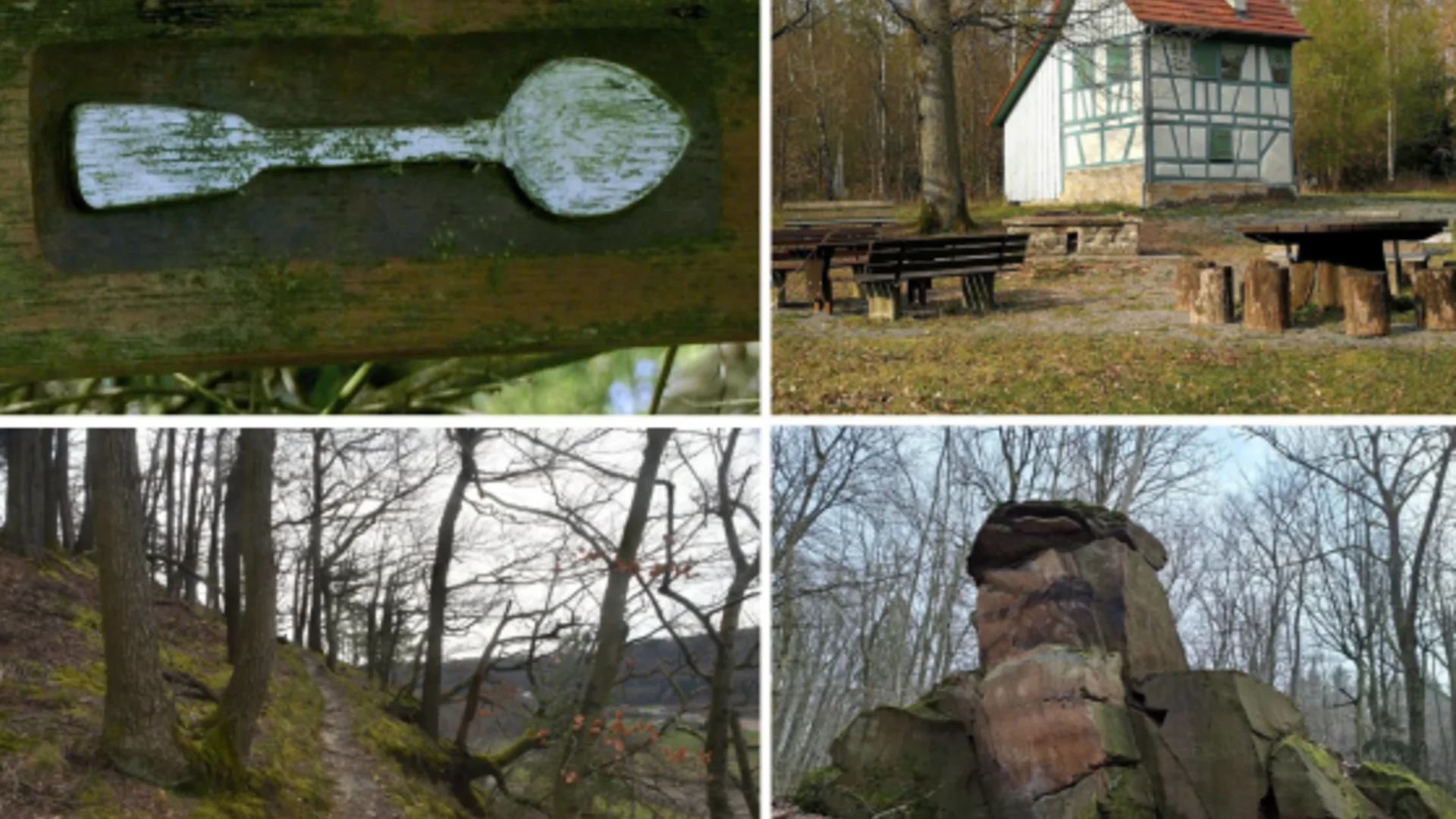 Monatswanderung Maerz / BZG Kuenzelsau / DAV Heilbronn | © DAV Heilbronn