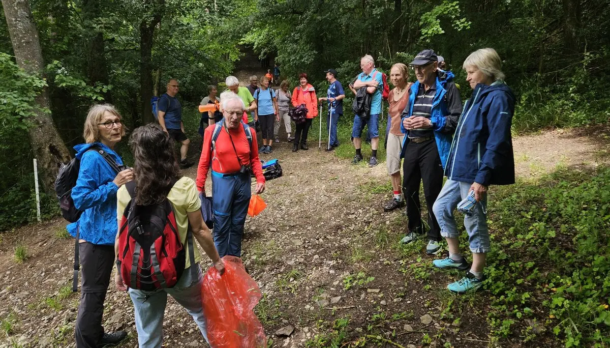 Unterwegs bei der Monatswanderung Juni BZG Kuenzelsau | © davheilbronn