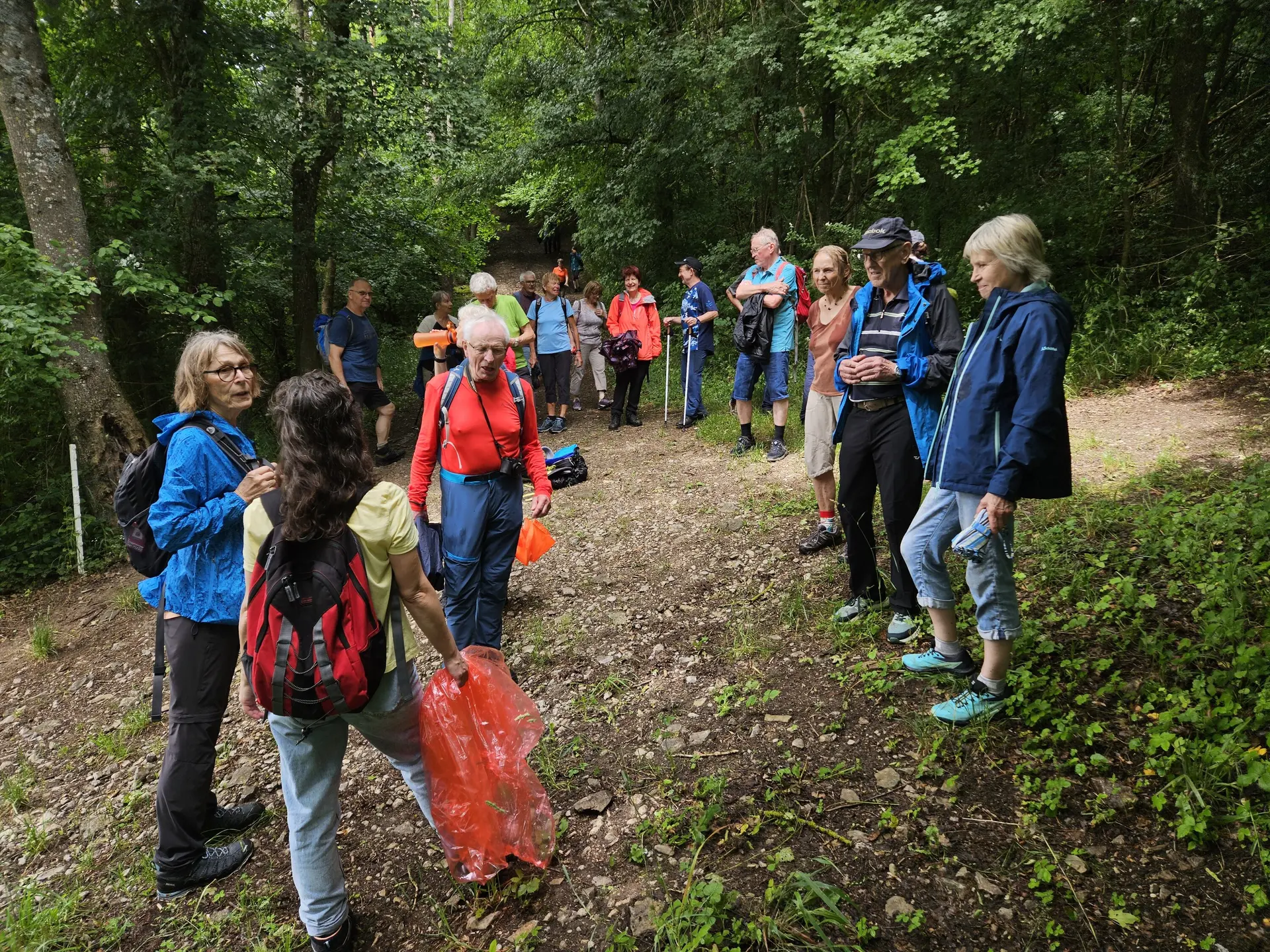 Unterwegs bei der Monatswanderung Juni BZG Kuenzelsau | © davheilbronn