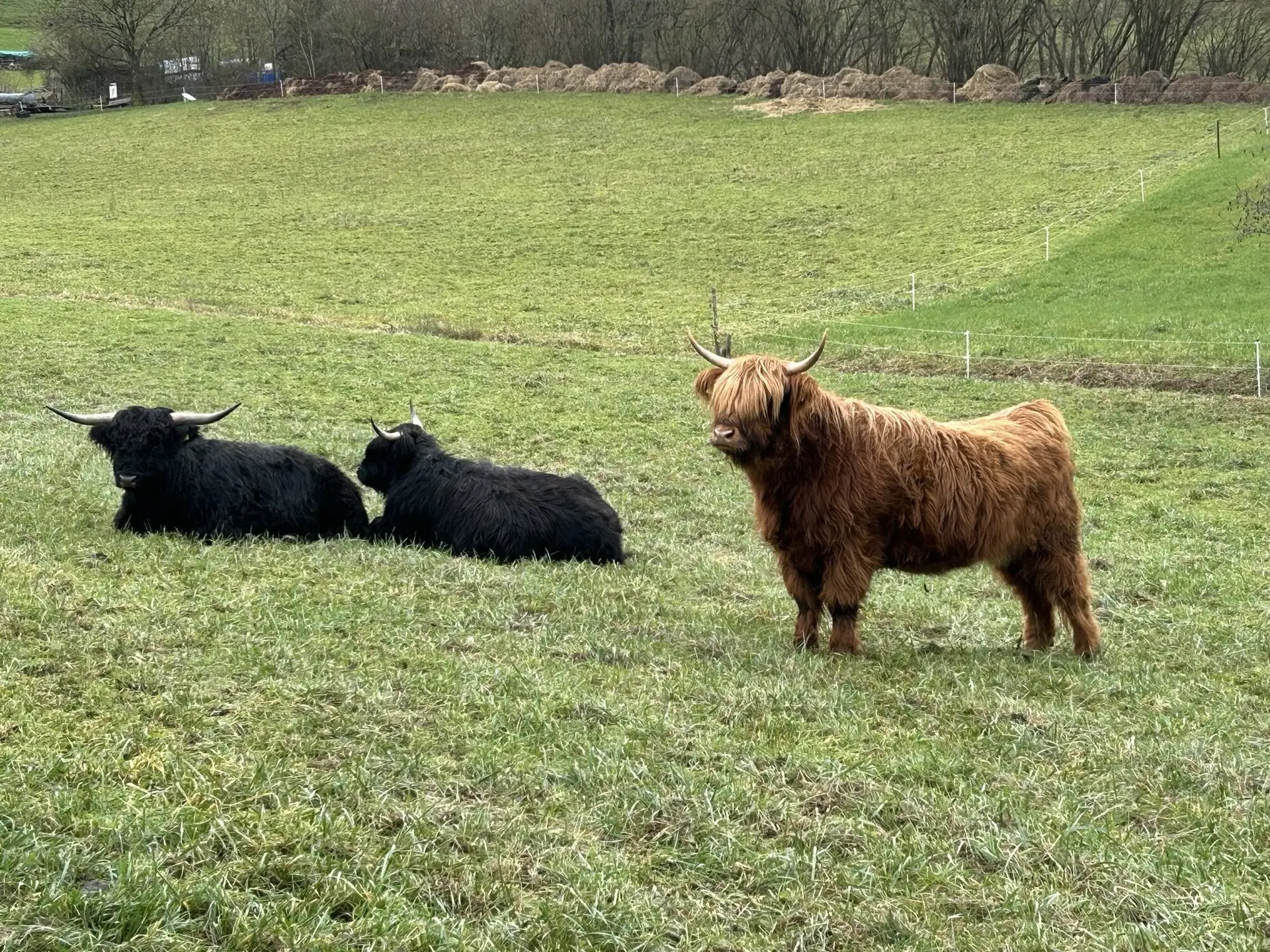 Adventswanderung 2024 I BZG Schwäbisch Hall  | © DAV Heilbronn
