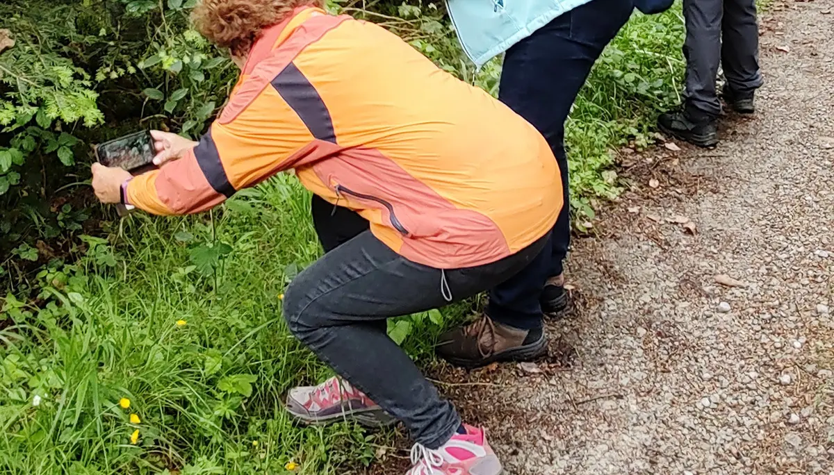 Wandergruppe beim Fotos machen | © DAV Heilbronn