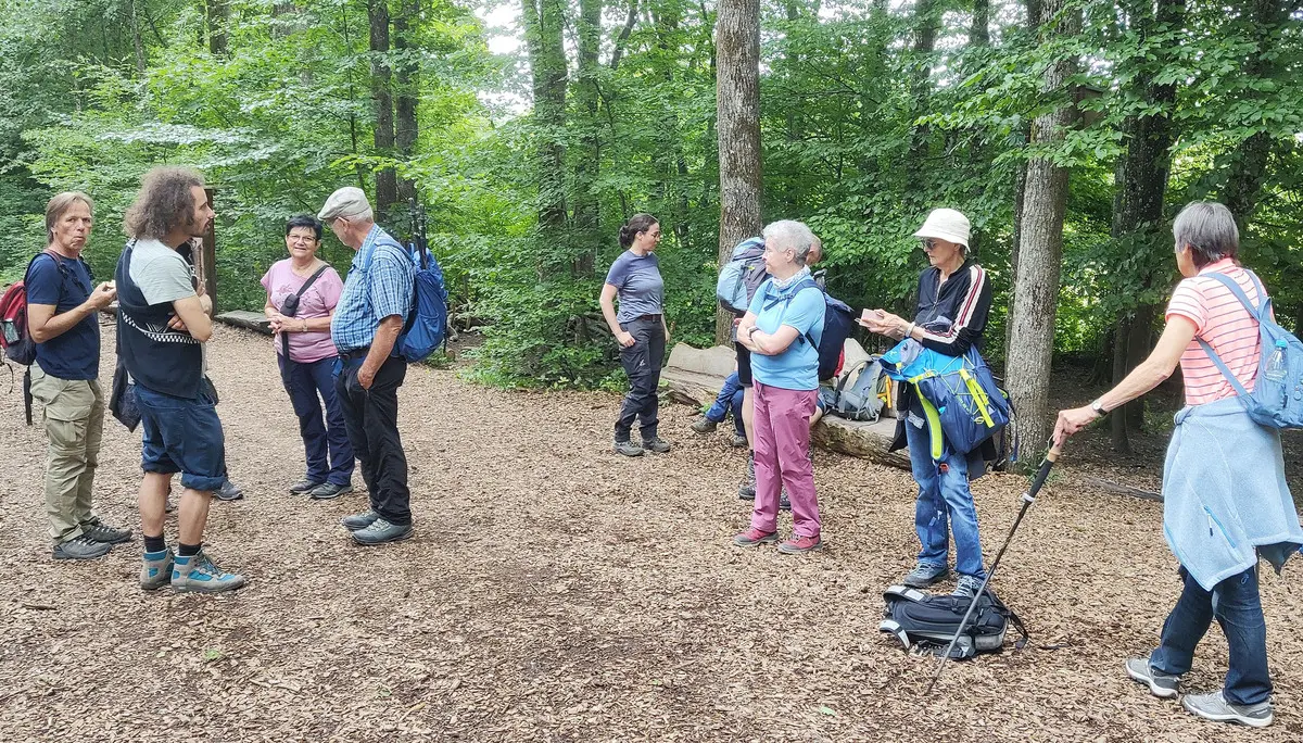 Gruppe von Menschen bei der Monatswanderung der Bezirksgruppe Schwäbisch Hall im Juni 2026 | © DAV Heilbronn