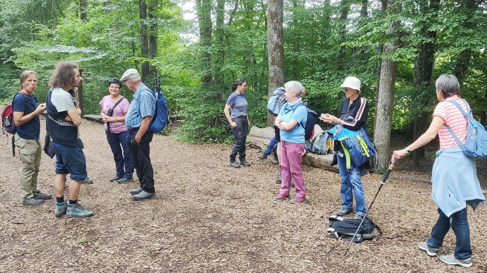 Gruppe von Menschen bei der Monatswanderung der Bezirksgruppe Schwäbisch Hall im Juni 2026 | © DAV Heilbronn