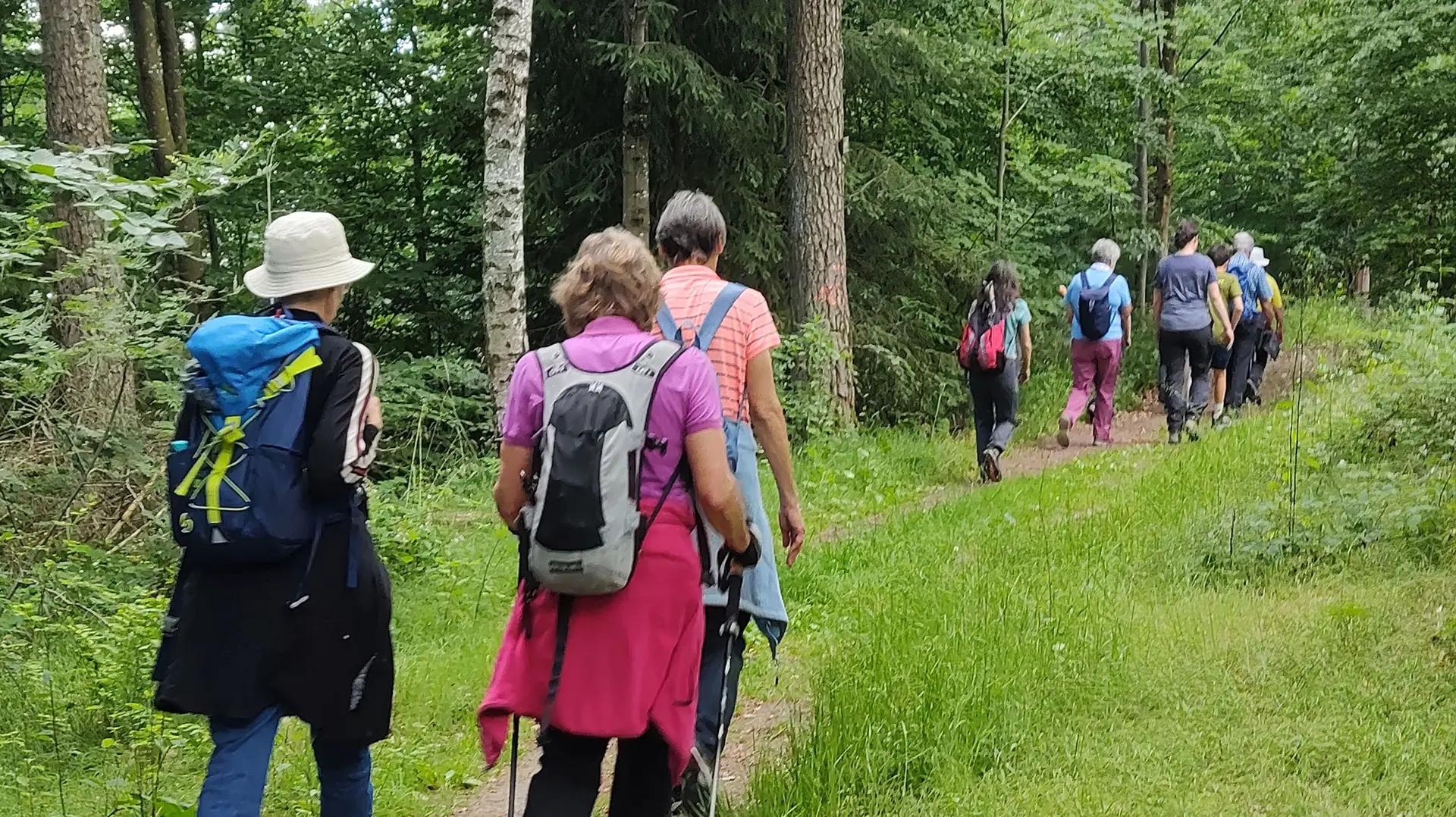 Gruppe von Menschen von hinten beim Laufen bei der Monatswanderung der Bezirksgruppe Schwäbisch Hall im Juni 2026 | © DAV Heilbronn
