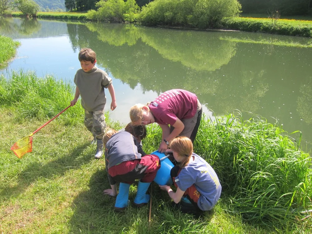 fünf Kinder mit Keschern und Eimer an einem Flussufer | © DAV Heilbronn