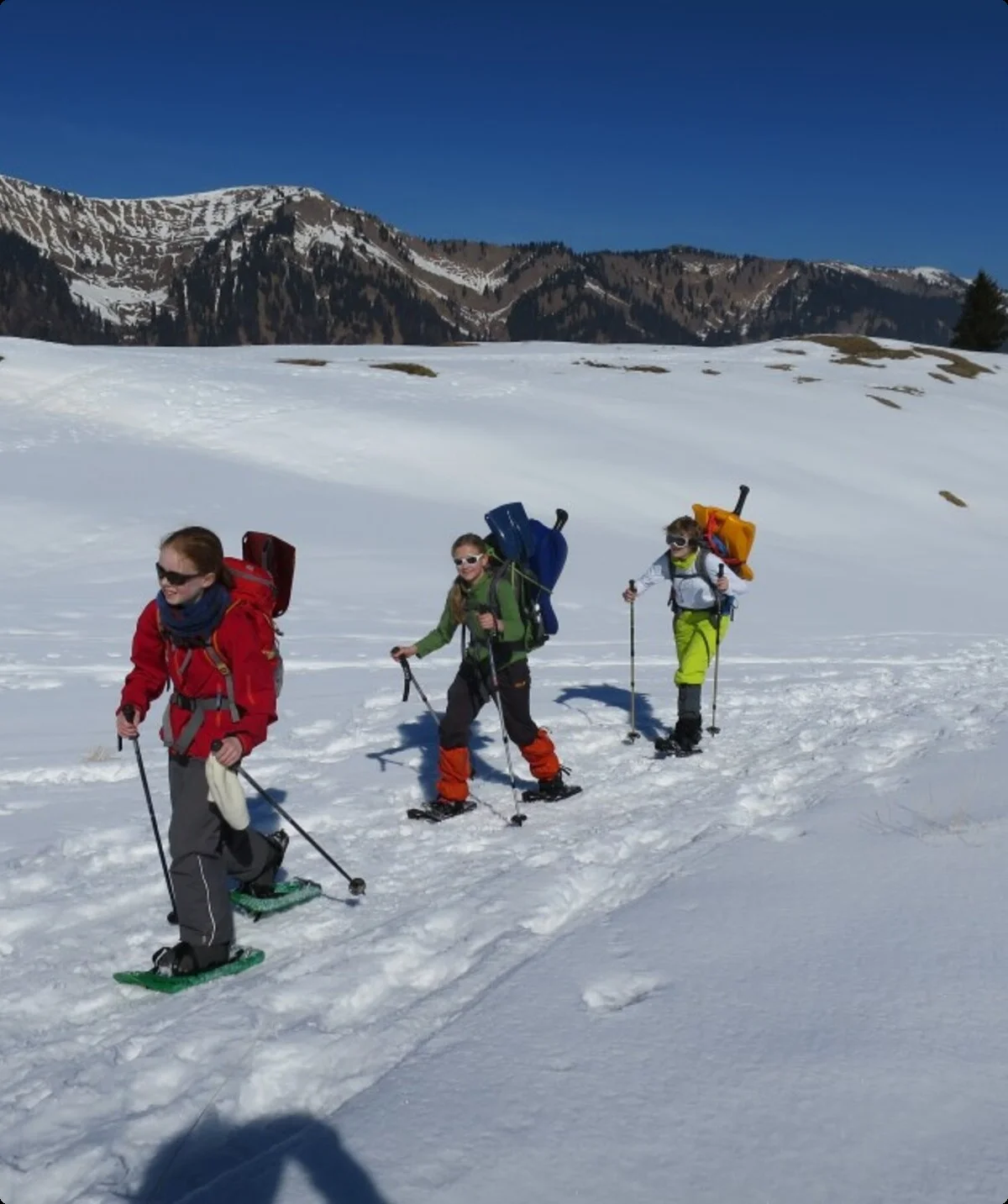 Kindern durchlaufen ein Schneefeld in den Bergen | © DAV Heilbronn