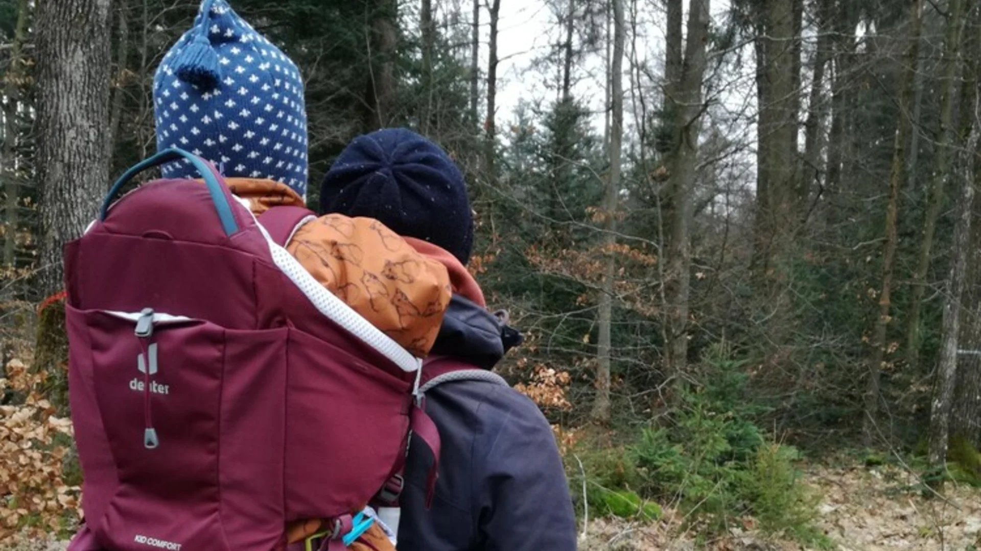 Rückansicht einer Person, die mit einem großen Rucksack und Schlafsack im Laub steht und den davorliegenden Nadelwald betrachtet | © DAV Heilbronn DAV Heilbronn Familiengruppe | © DAV Heilbronn