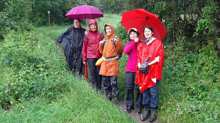fünf Frauen in Regenklamotten und Regenschirmen an einem schmalen Wiesenpfad vor einem Waldeingang | © DAV Heilbronn