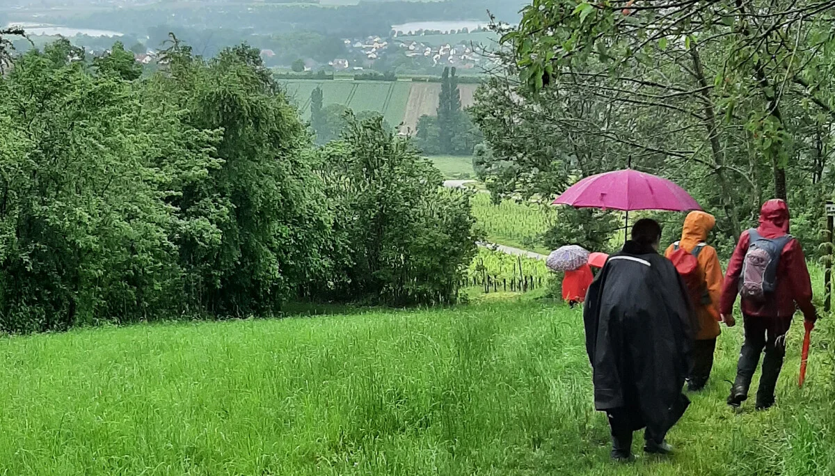 einige Frauen in Regenmontur laufen einen steilen Wiesenabhang hinab | © DAV Heilbronn