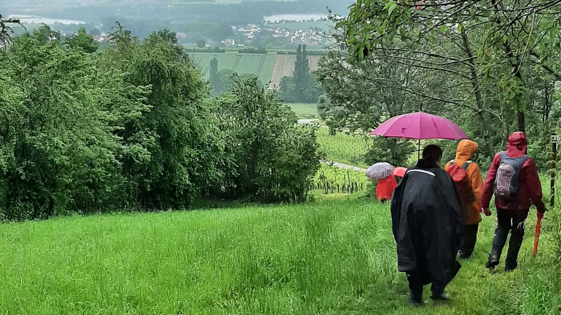 DAV Heilbronn Frauenwandergruppe | © DAV Heilbronn