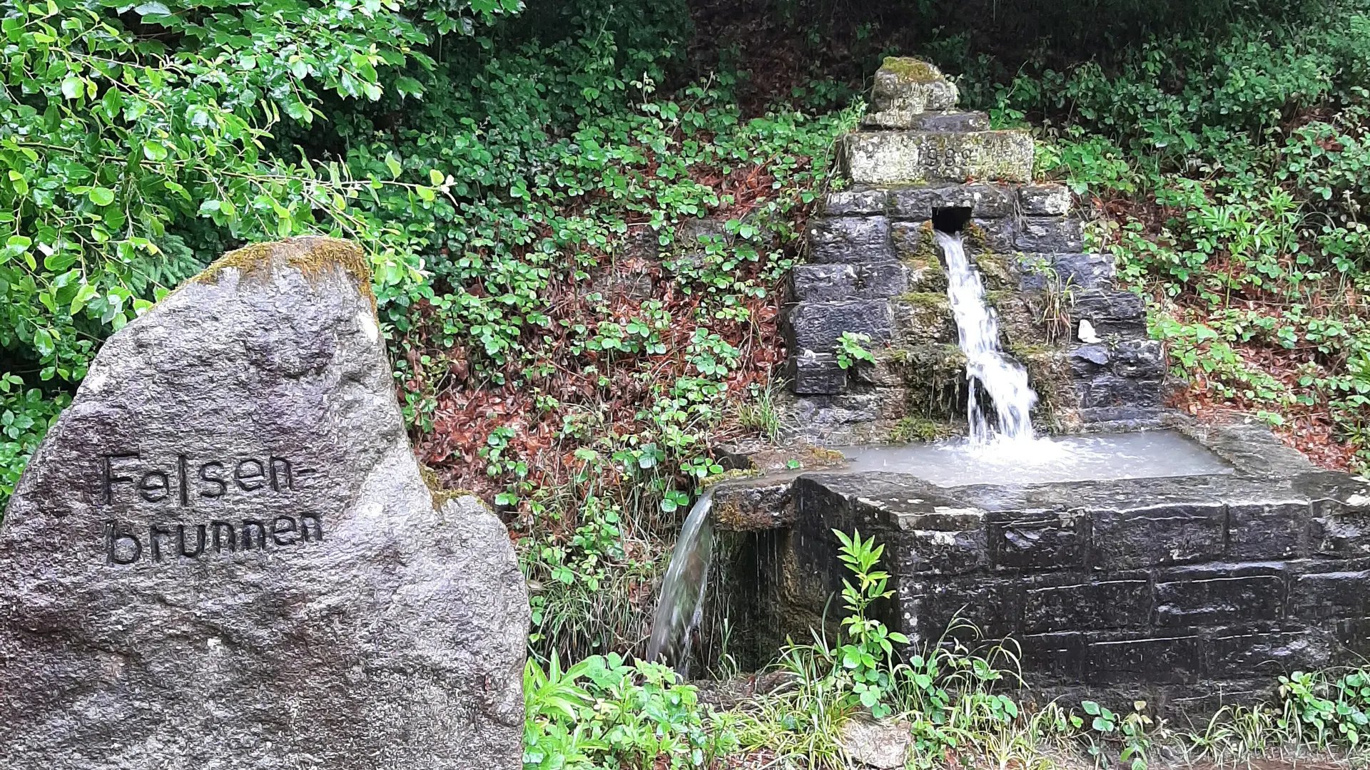 DAV Heilbronn Frauenwandergruppe | © DAV Heilbronn