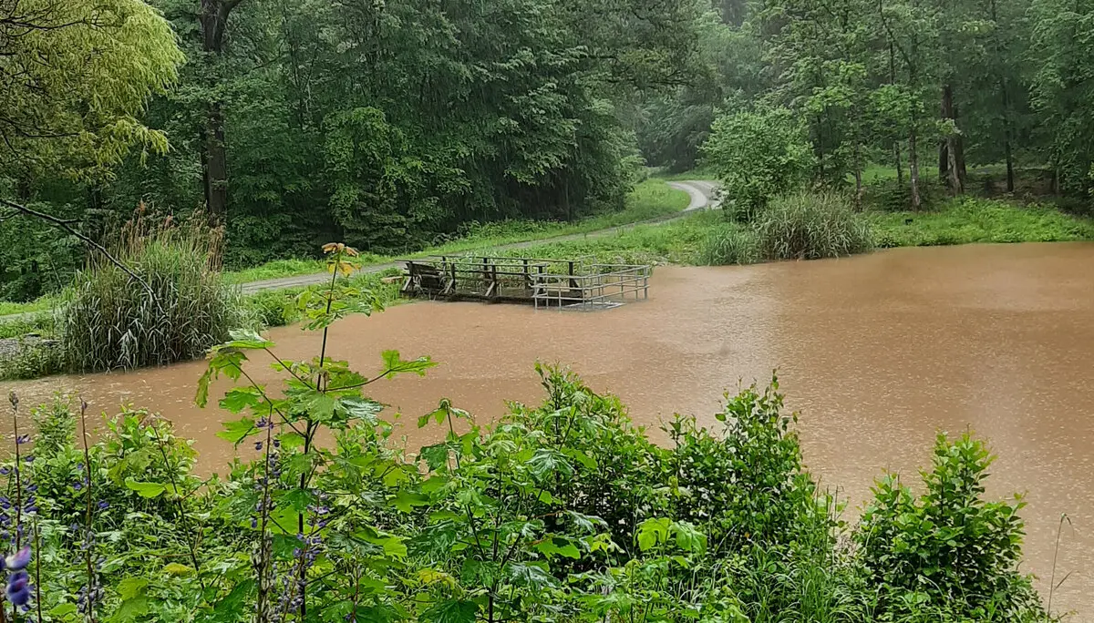 DAV Heilbronn Frauenwandergruppe | © DAV Heilbronn