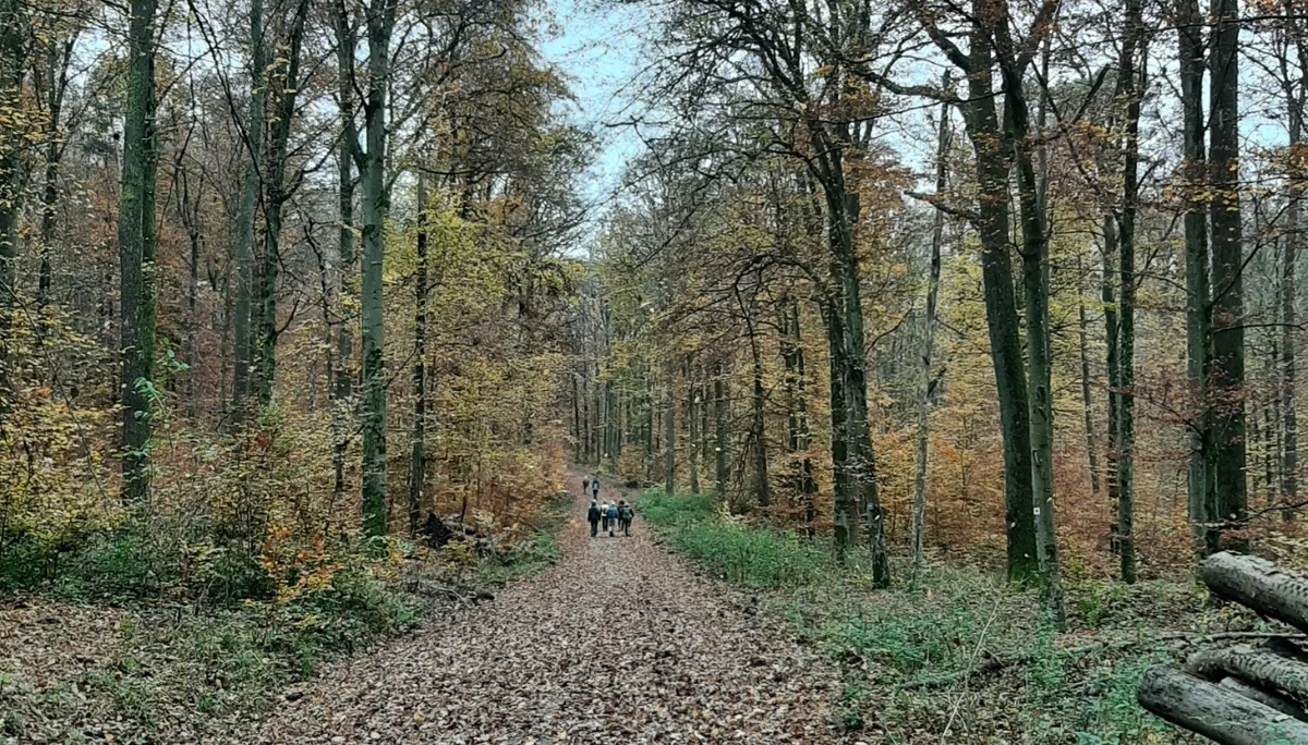 Frauenwanderung Möckmühl I DAV Heilbronn | © DAV Heilbronn