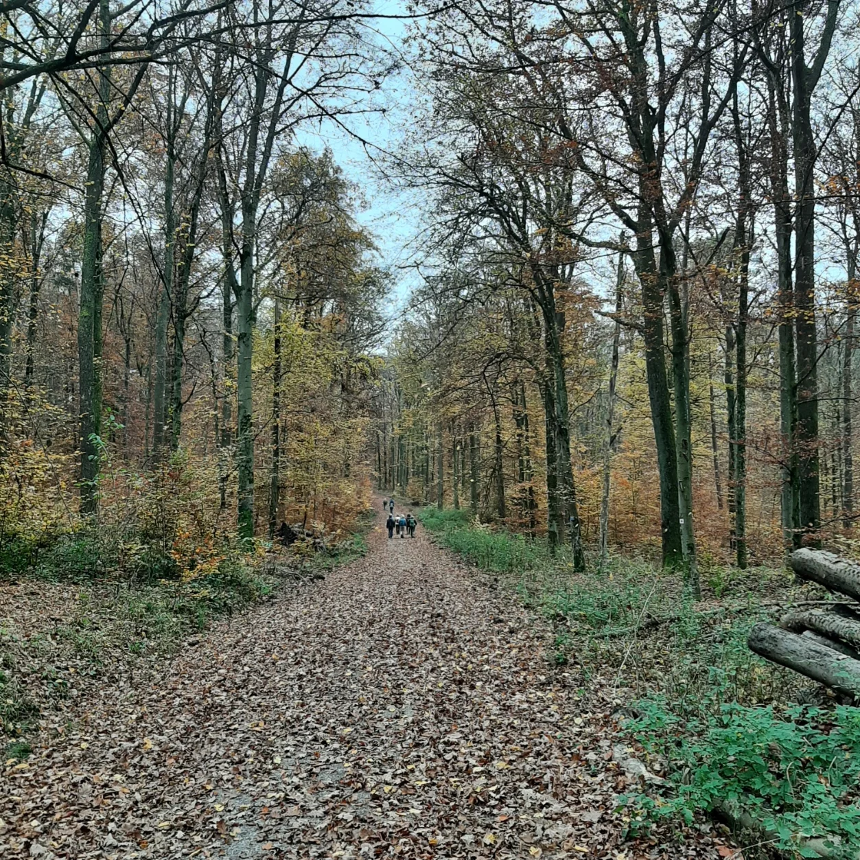 Frauenwanderung Möckmühl I DAV Heilbronn | © DAV Heilbronn