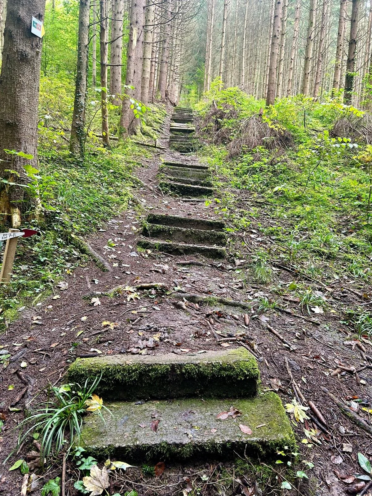 DAV Heilbronn Frauenwandergruppe | © DAV Heilbronn