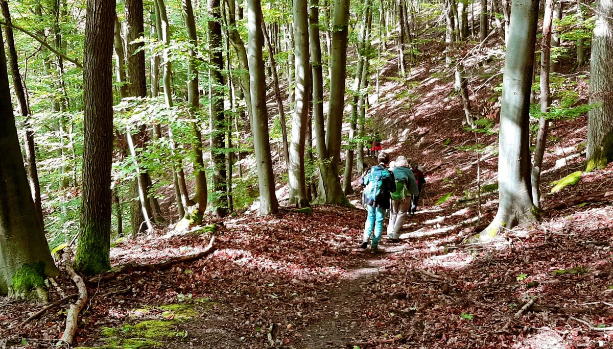 DAV Heilbronn Frauenwandergruppe | © DAV Heilbronn