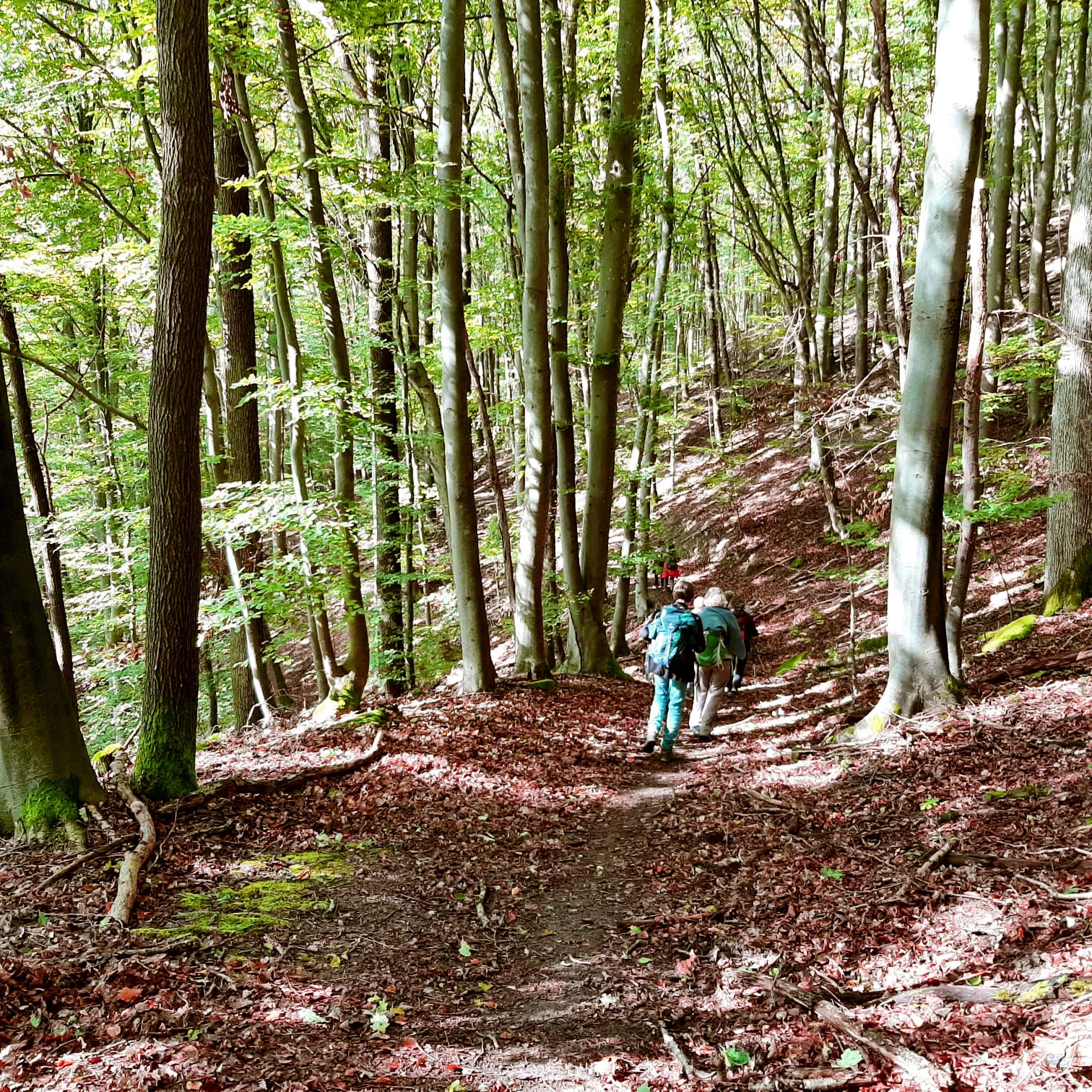 DAV Heilbronn Frauenwandergruppe | © DAV Heilbronn
