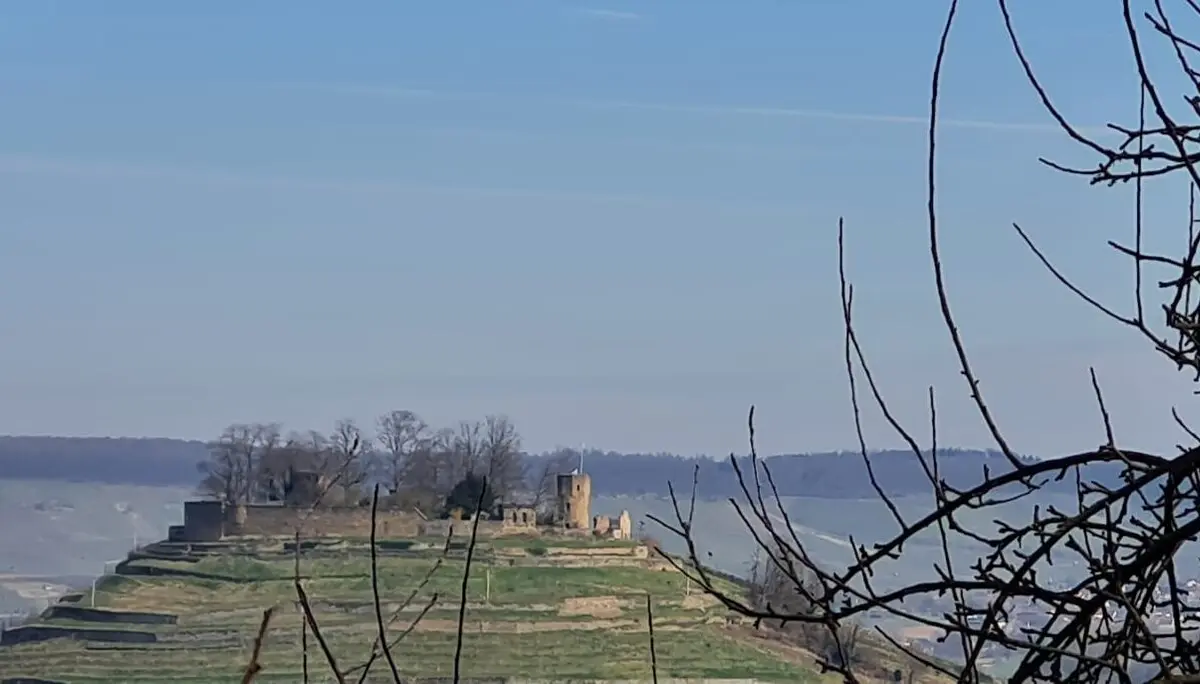 Märzwanderung / Frauenwandergruppe / DAV Heilbronn | © DAV Heilbronn