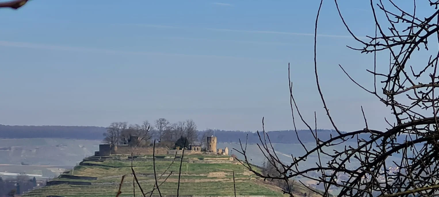 Märzwanderung / Frauenwandergruppe / DAV Heilbronn | © DAV Heilbronn