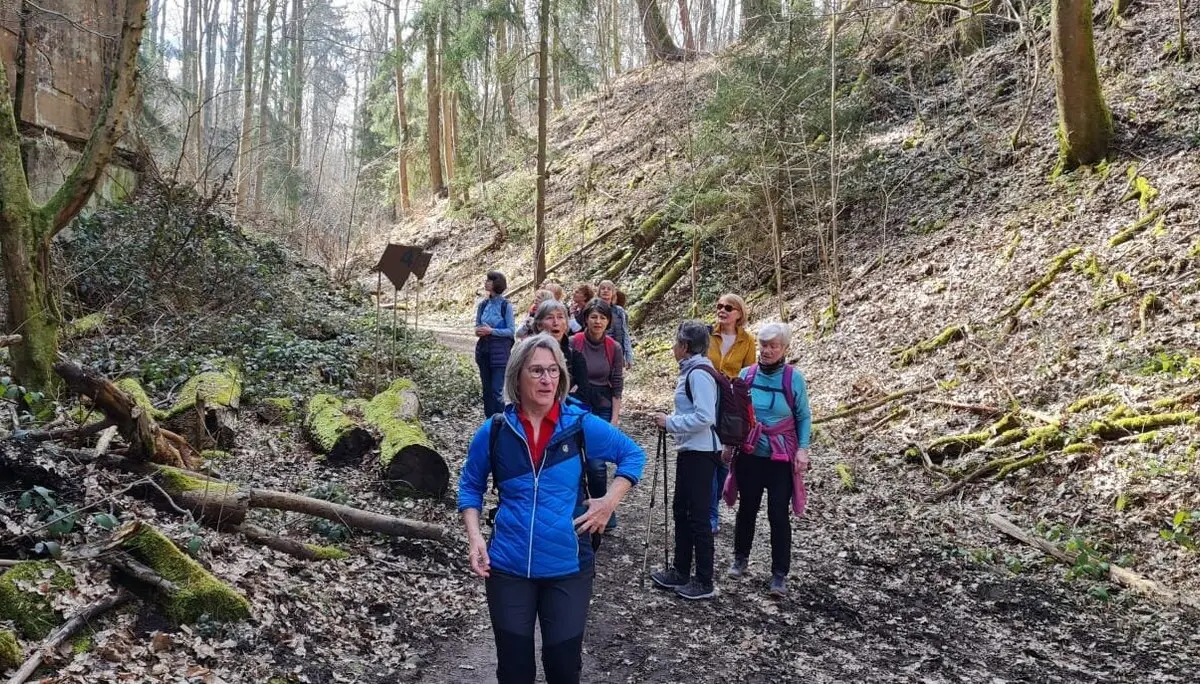 Märzwanderung / Frauenwandergruppe / DAV Heilbronn | © DAV Heilbronn