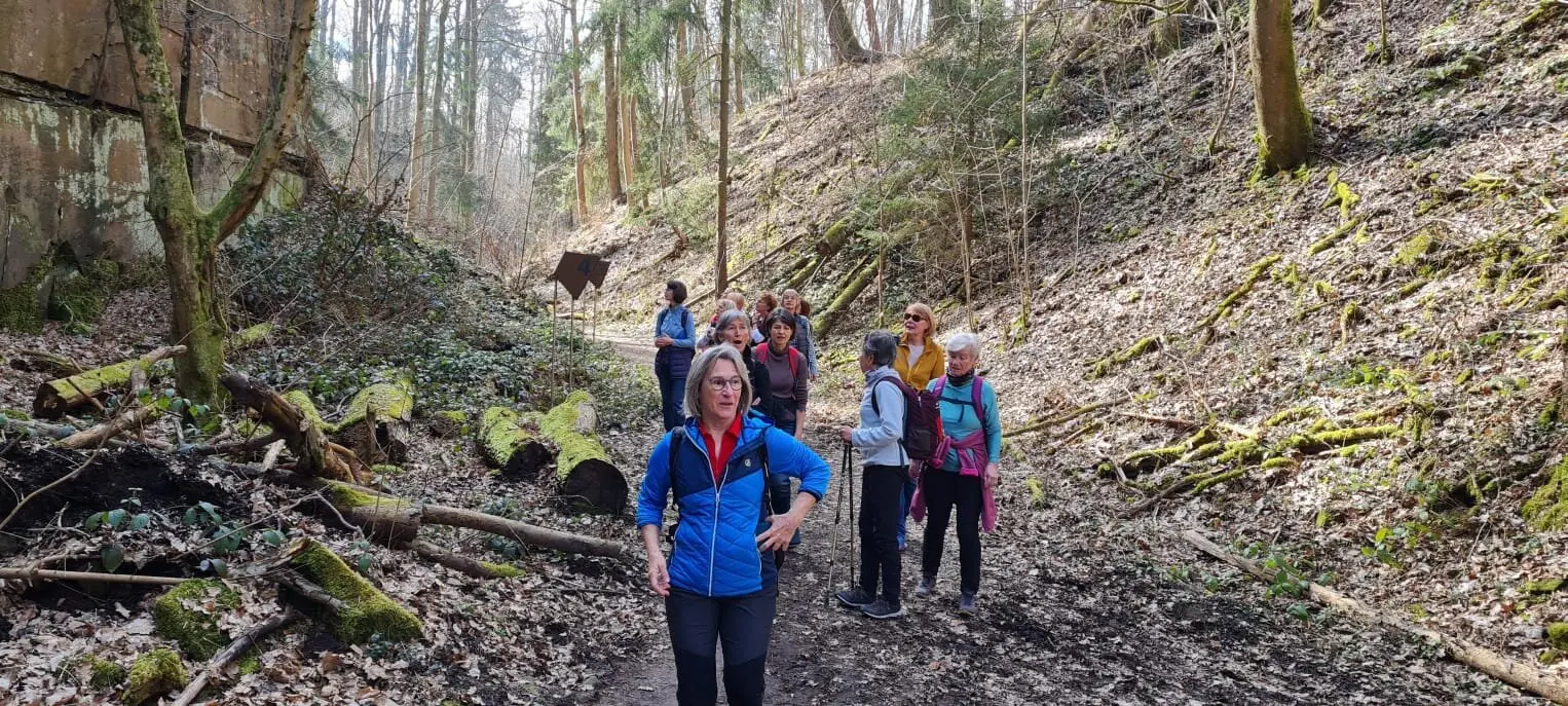 Märzwanderung / Frauenwandergruppe / DAV Heilbronn | © DAV Heilbronn