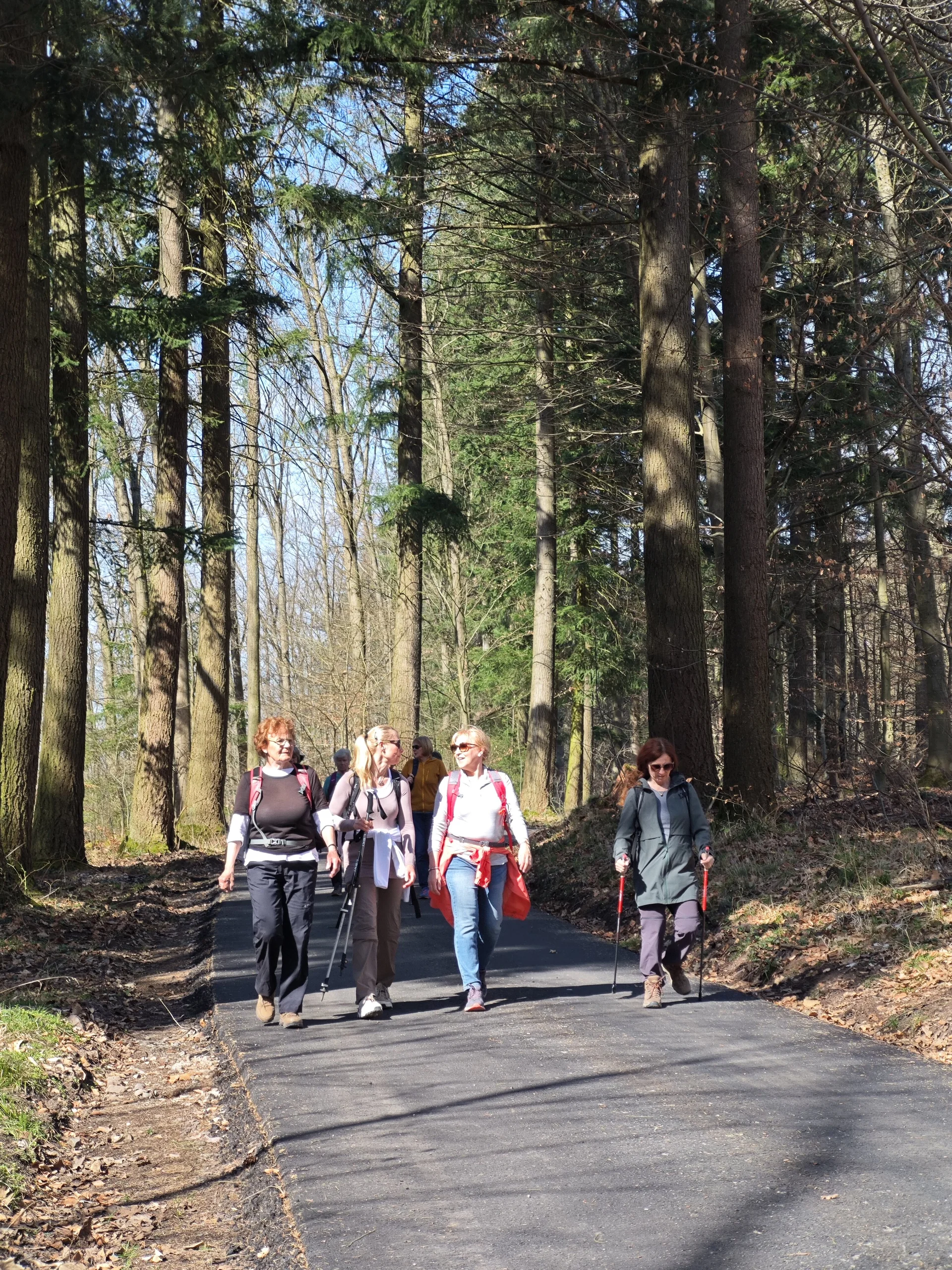 Märzwanderung / Frauenwandergruppe / DAV Heilbronn | © DAV Heilbronn