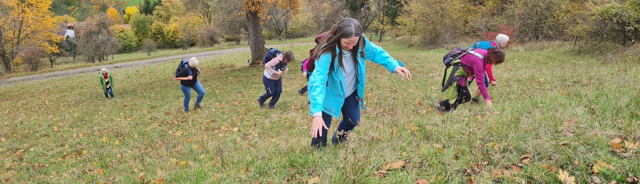 Frauenwandergruppe unterwegs bei der Novemberwanderung | © DAV Heilbronn