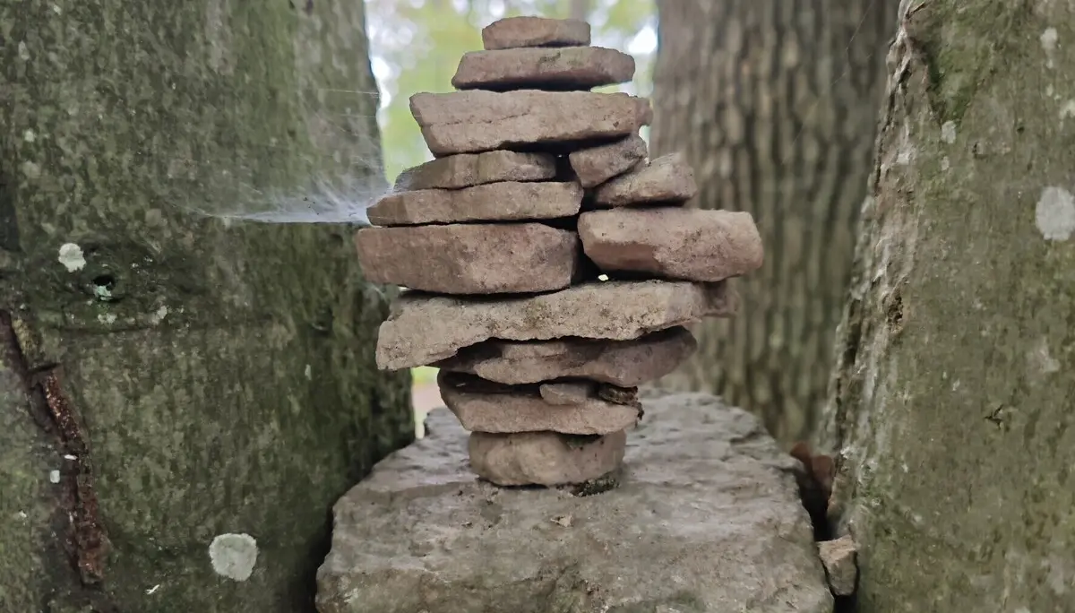 Monatswanderung auf den Reisberg Steinmännle zwischen zwei Baumstämmen | © DAV Heilbronn