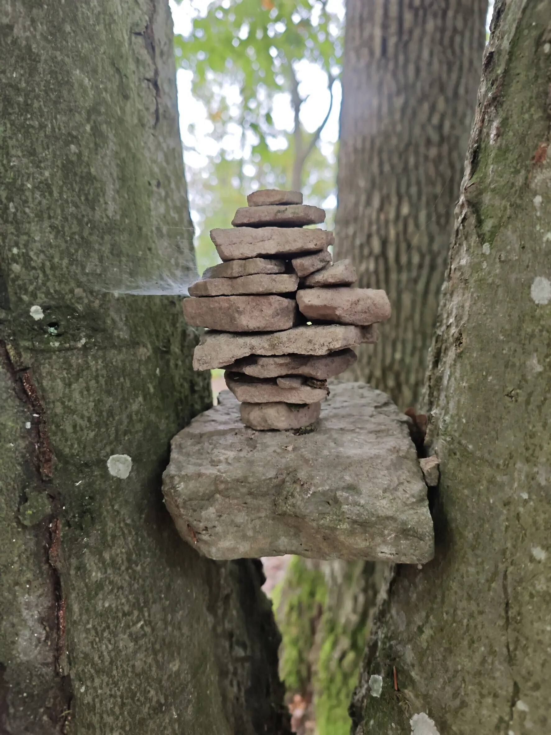 Monatswanderung auf den Reisberg Steinmännle zwischen zwei Baumstämmen | © DAV Heilbronn