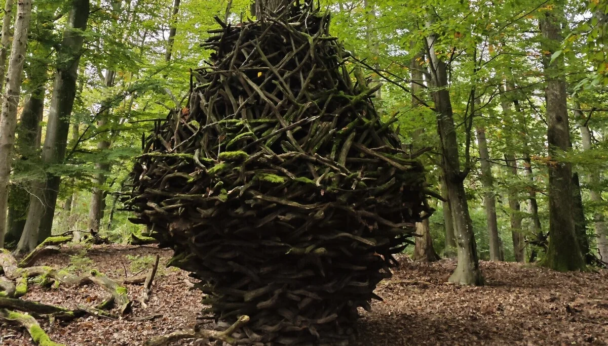 Monatswanderung auf den Reisberg Holzskulptur in Ei-Form aus Zweigen um einen Baum | © DAV Heilbronn
