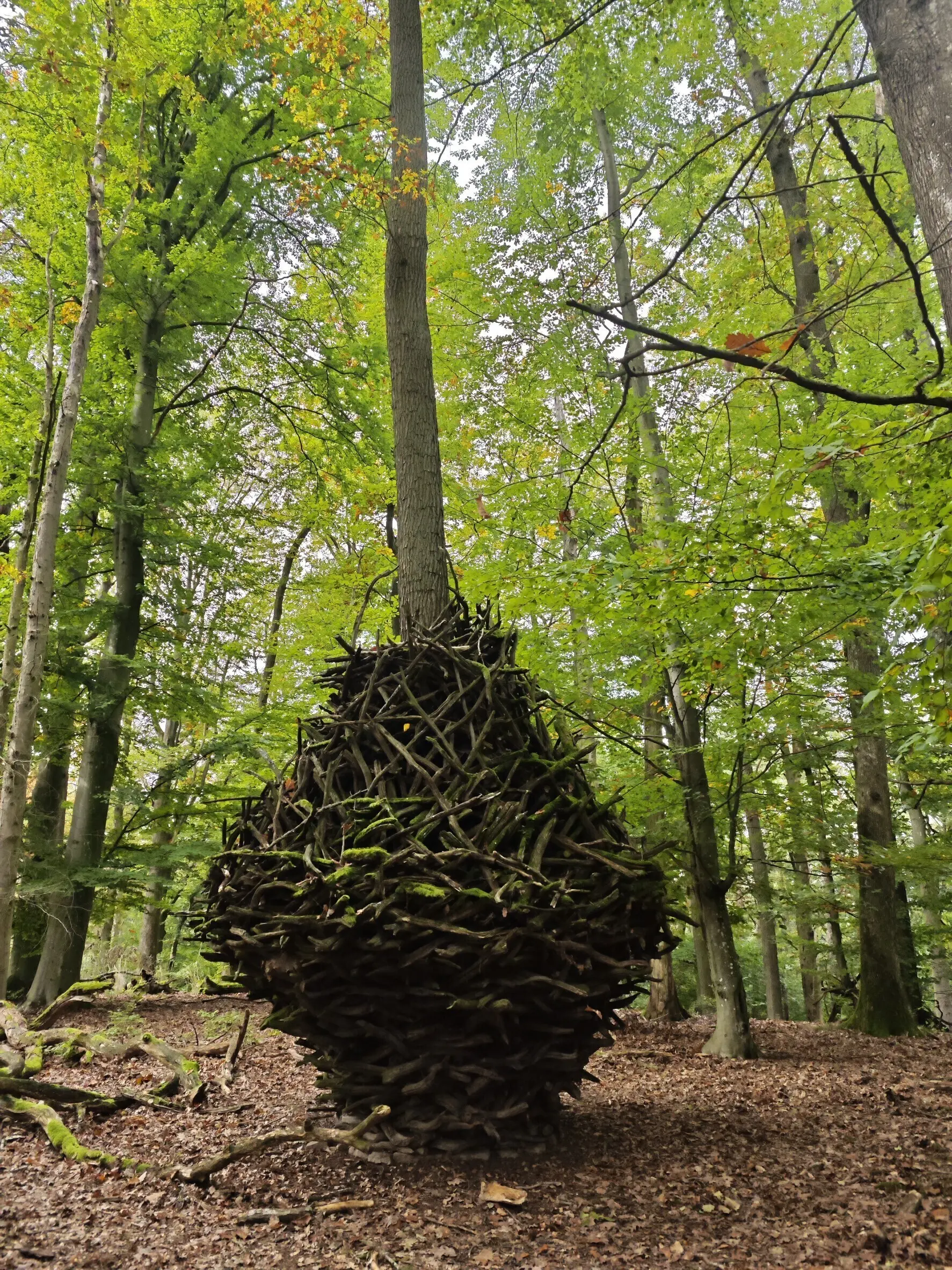 Monatswanderung auf den Reisberg Holzskulptur in Ei-Form aus Zweigen um einen Baum | © DAV Heilbronn