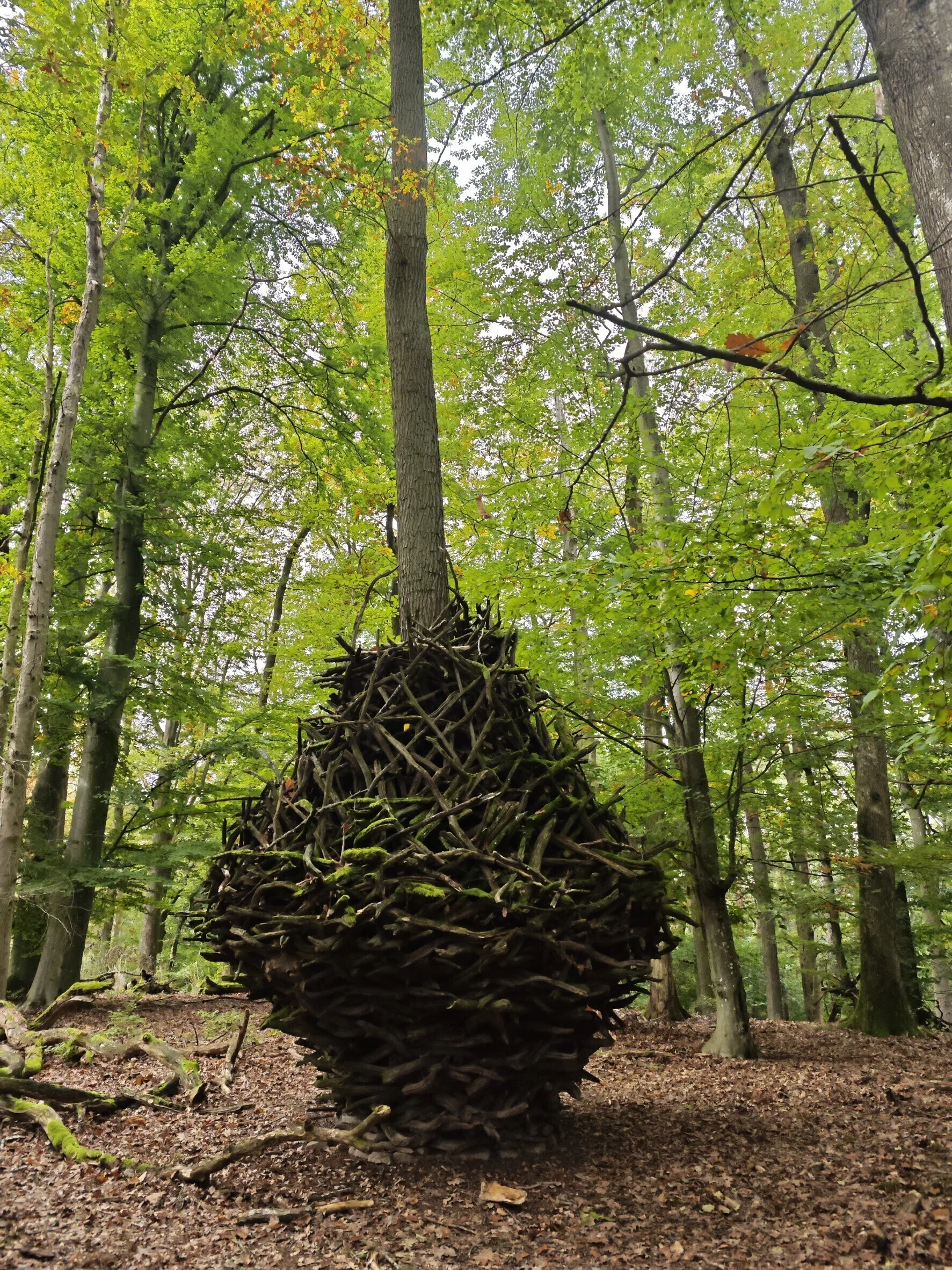 Monatswanderung auf den Reisberg Holzskulptur in Ei-Form aus Zweigen um einen Baum | © DAV Heilbronn