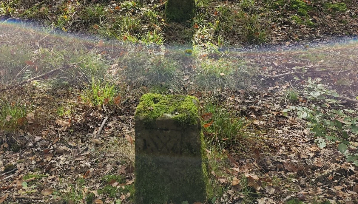 Monatswanderung im Köpfertal Grenzstein im Wald mit Sonnenstrahl drüber | © DAV Heilbronn