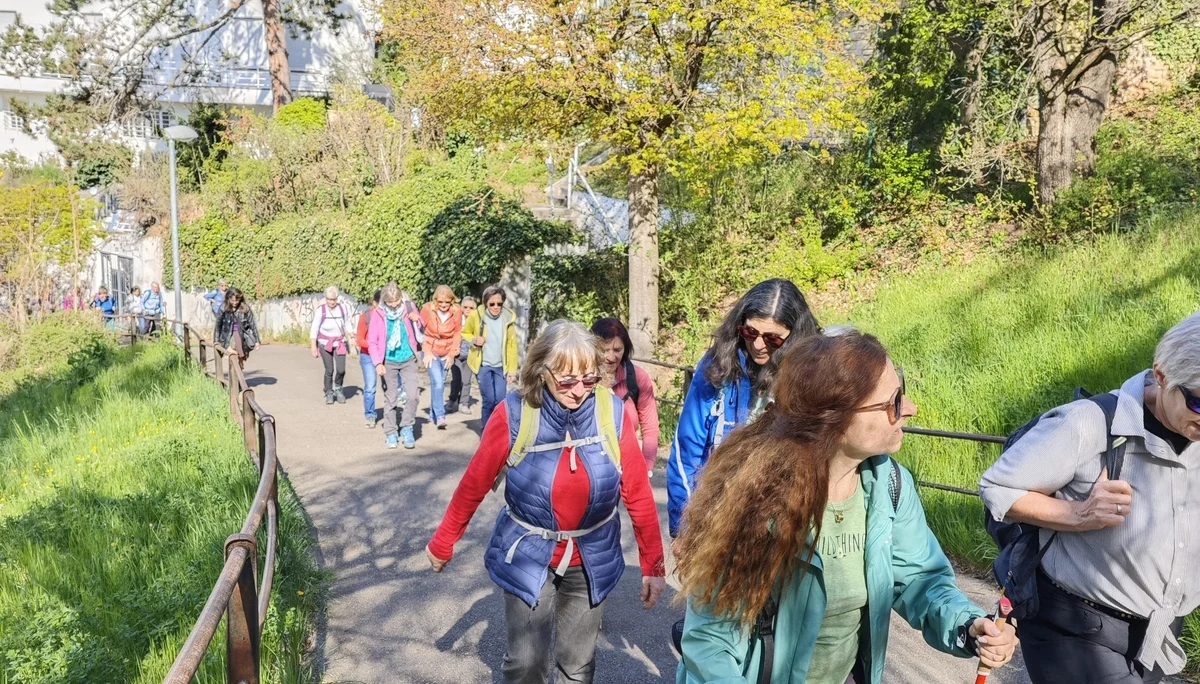 Panoramatour / Frauenwandergruppe / DAV Heilbronn | © DAV Heilbronn