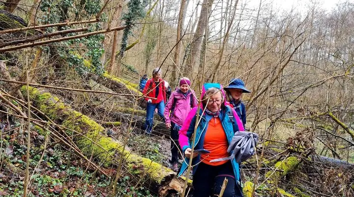Wandertag in Lauffen / Frauenwandergruppe / DAV Heilbronn | © DAV Heilbronn