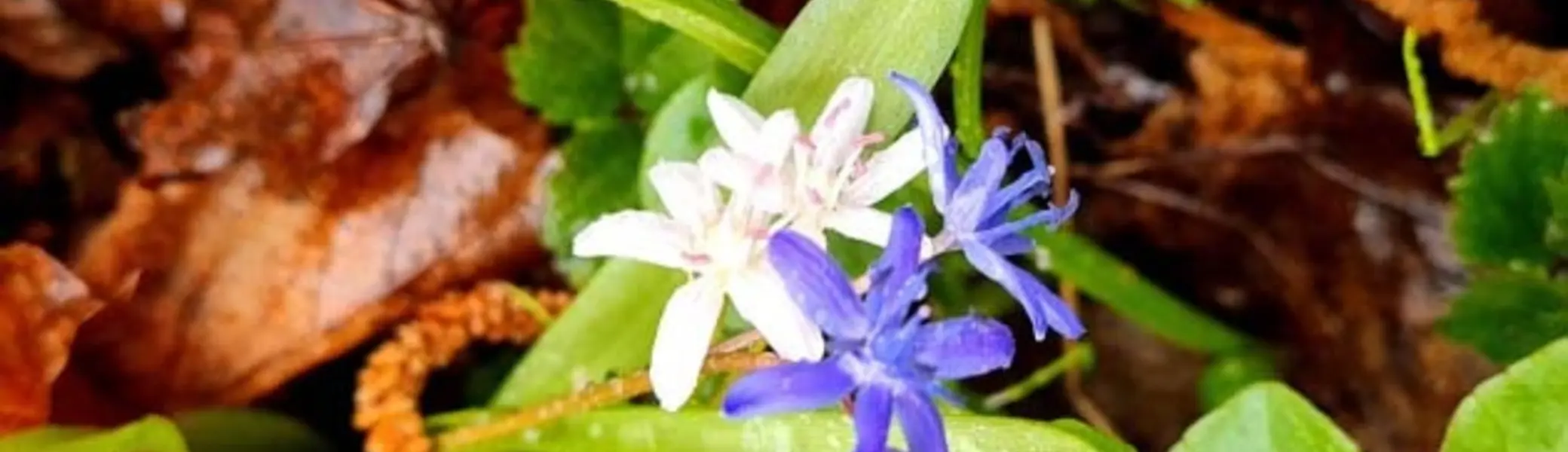 Wandertag in Lauffen / Frauenwandergruppe / DAV Heilbronn | © DAV Heilbronn