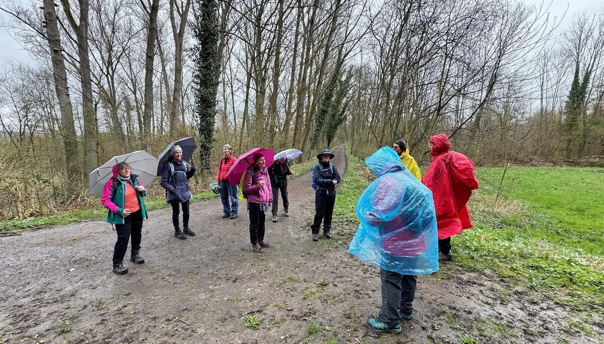 Wandertag in Lauffen / Frauenwandergruppe / DAV Heilbronn | © DAV Heilbronn