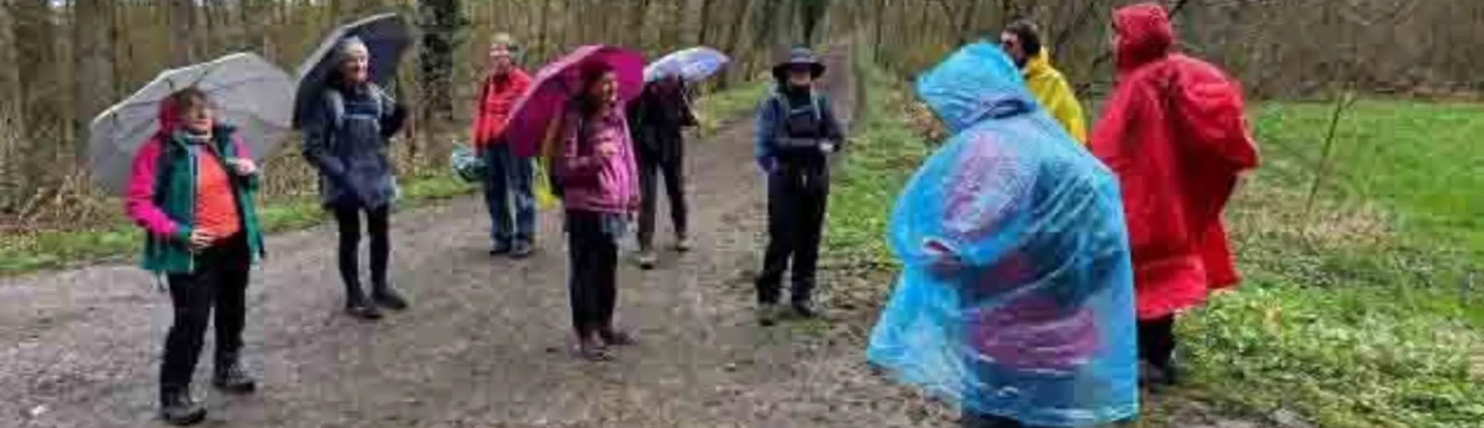 Wandertag in Lauffen / Frauenwandergruppe / DAV Heilbronn | © DAV Heilbronn