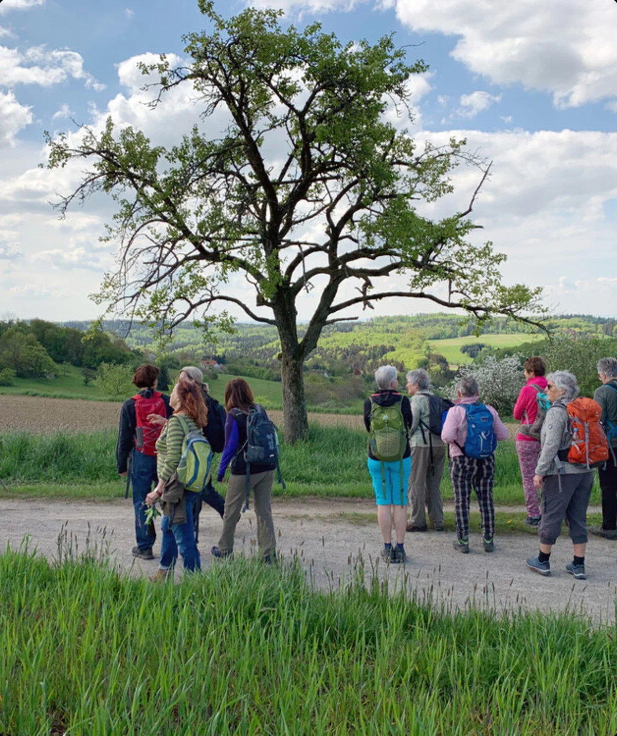 Wandergruppe an einem schottrigen Feldweg genießt den Ausblick auf eine hügelige Feld- und Wiesenlandschaft | © DAV Heilbronn