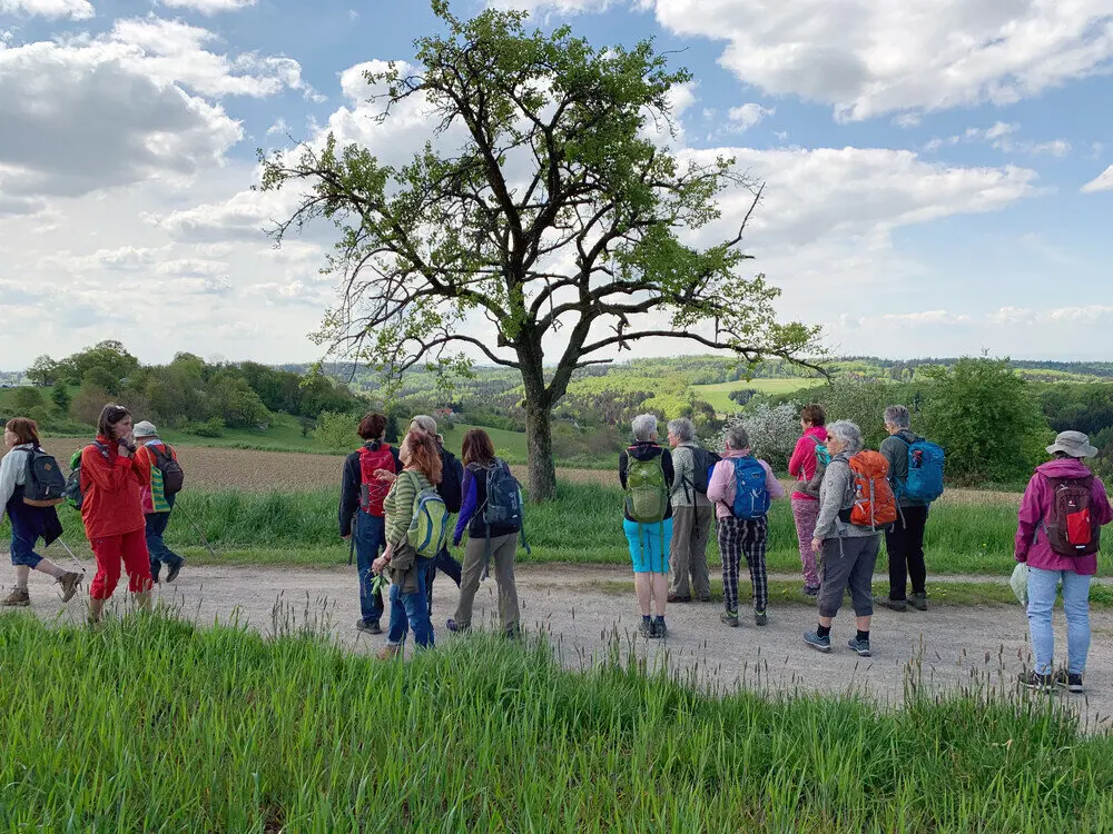 DAV Heilbronn Frauenwandergruppe | © DAV Heilbronn