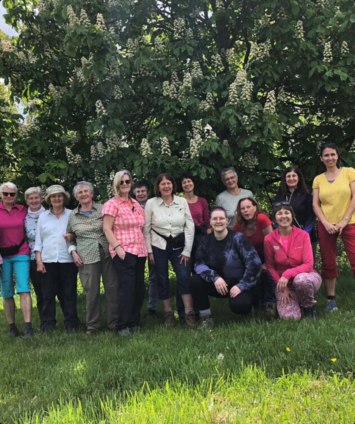 Gruppenfoto auf einer Wiese vor einem blühenden Baum | © DAV Heilbronn Frauenwandergruppe